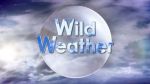 Wild Weather! Open House – Sandy Creek Nature Center